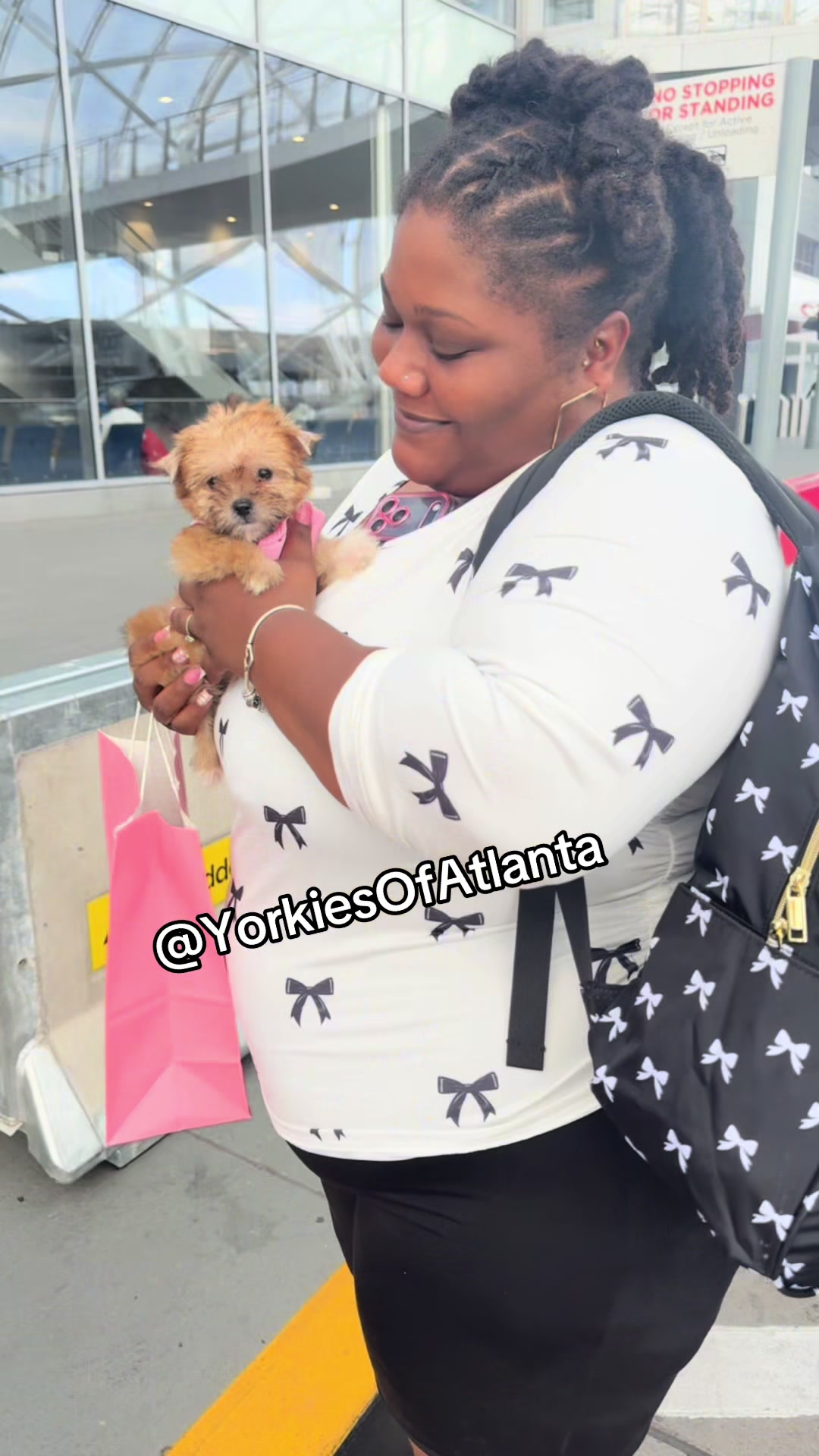 @Yorkies Of Atlanta