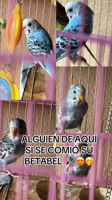 @🙏🏼🧘🏽♀️Potranquita 🐎🪬🧿