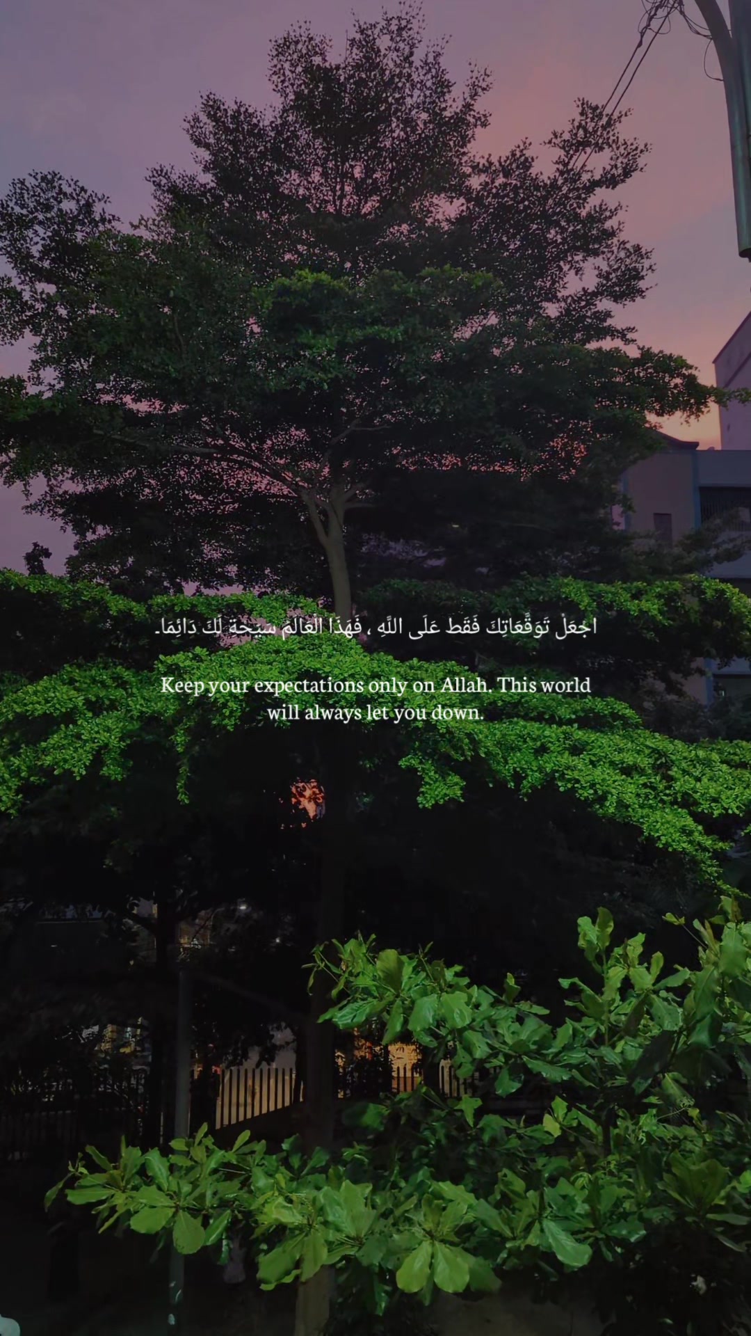 @Rabby Khalifa