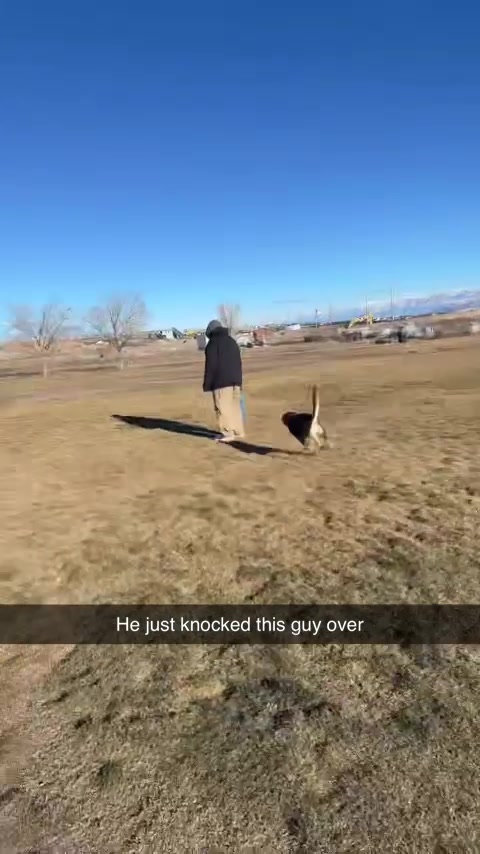 @Kyle Croxford