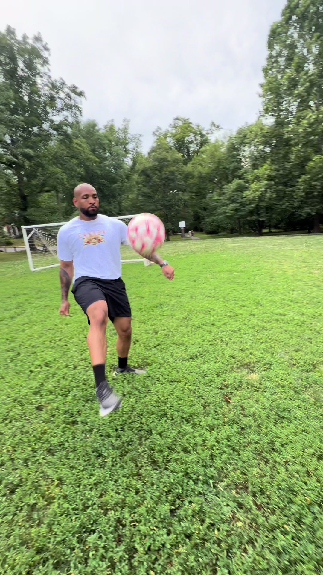 @BOYO &reg;️