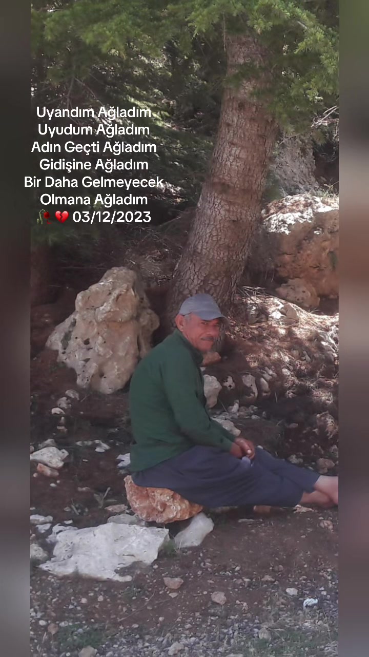 @Halil33 