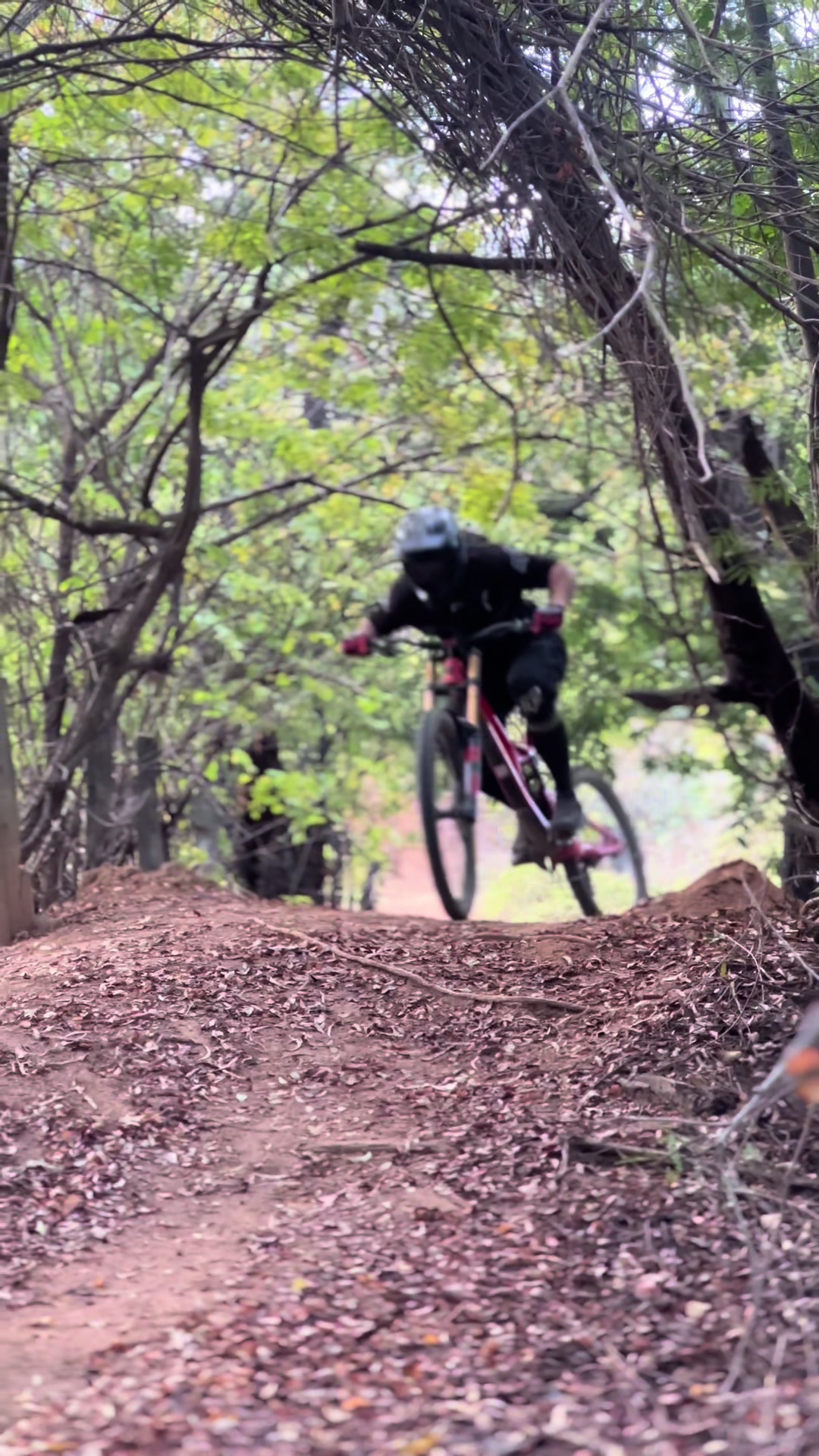 @Kevin Angelo / Downhill-Enduro