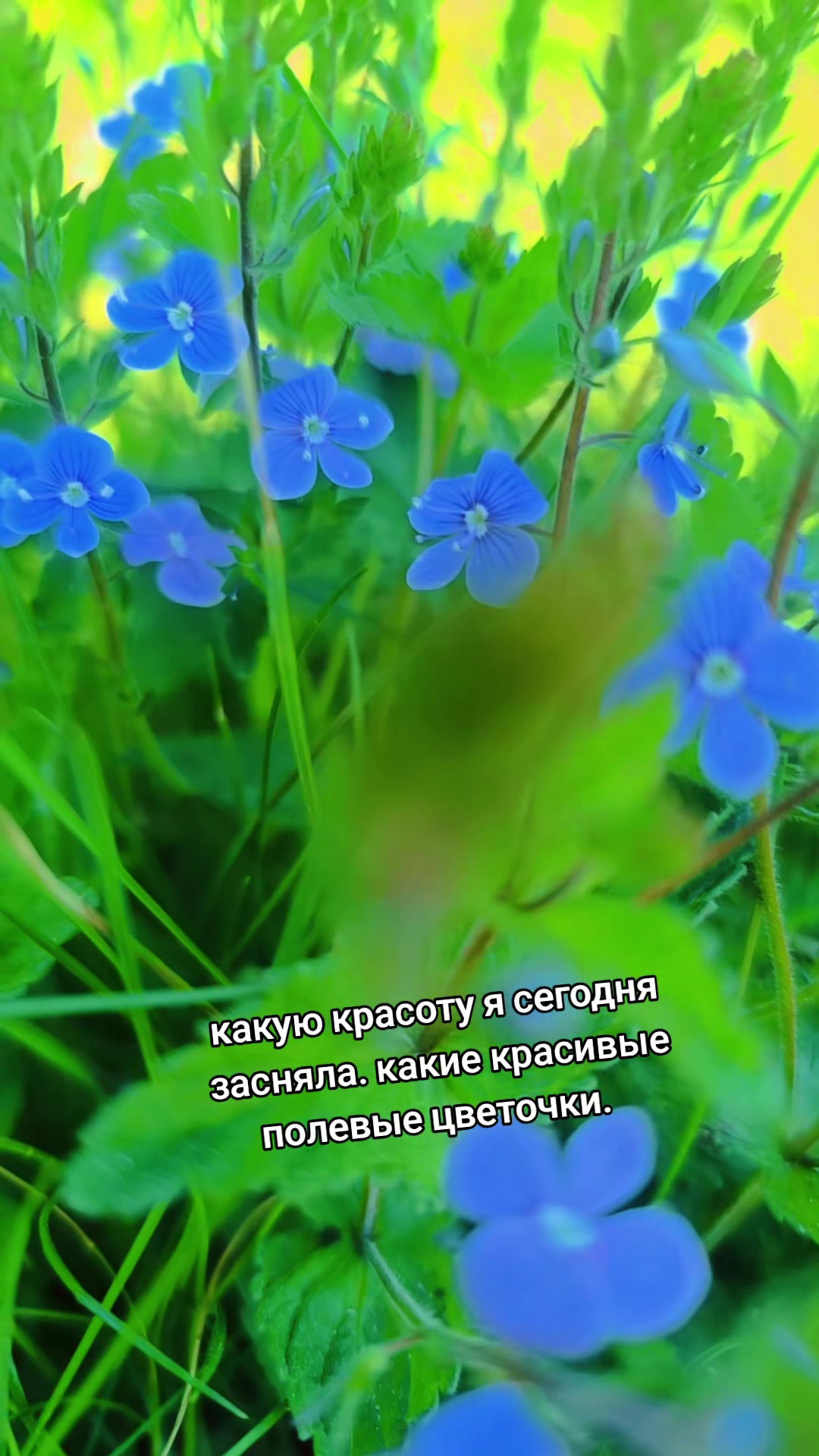 @Ясюня