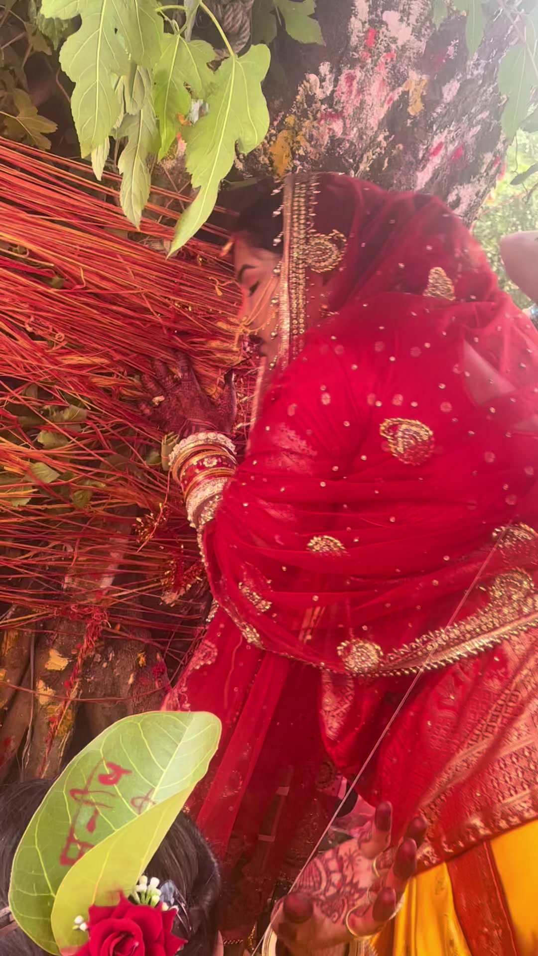 @laxmi singh chauhan😘🤗