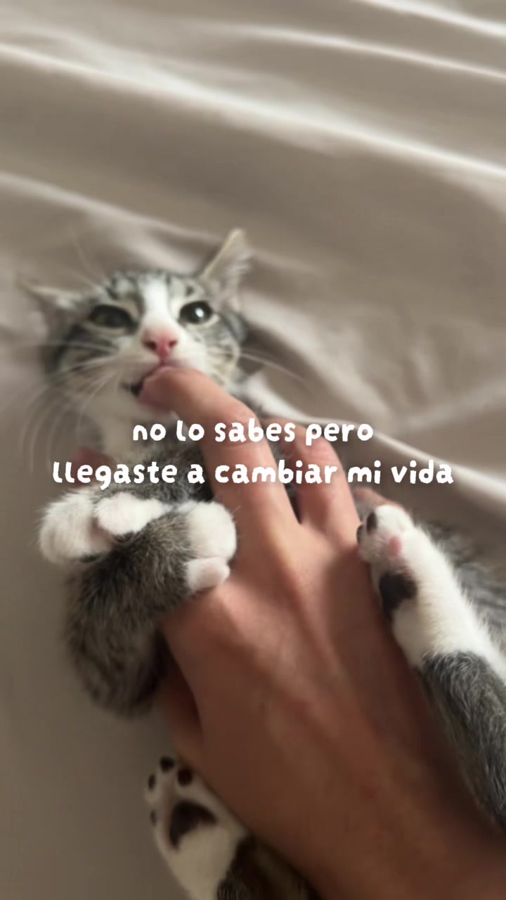 @Alfonson’t
