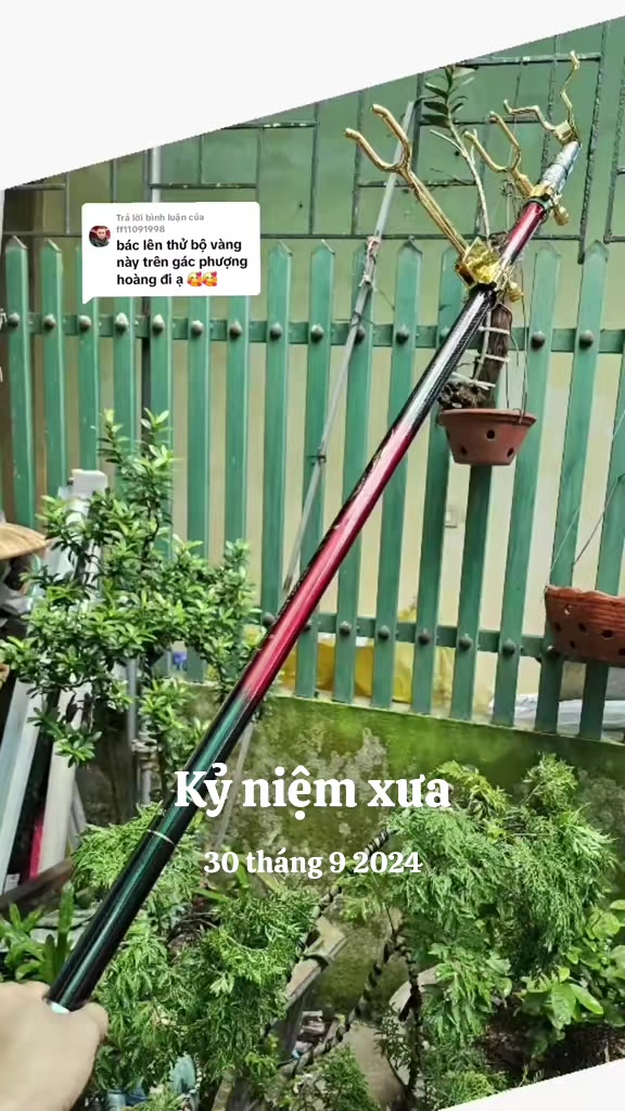 @Docau Hienminh
