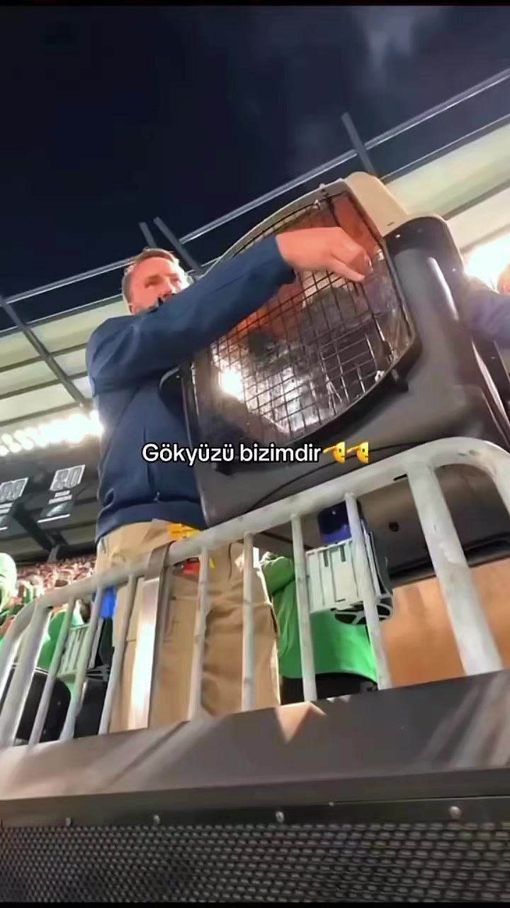 @Canan Moğultay