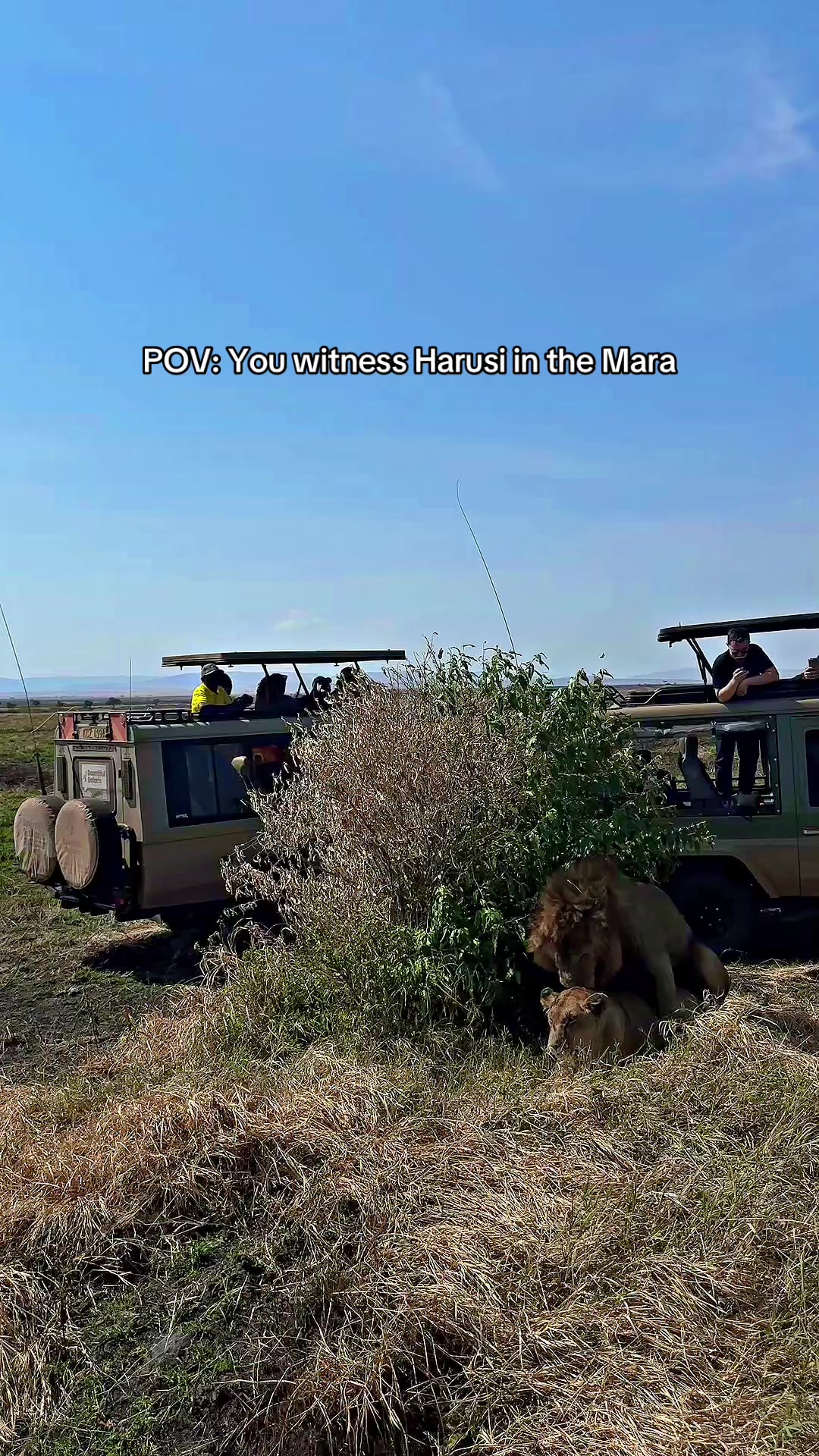 @Bountiful Safaris | Travel