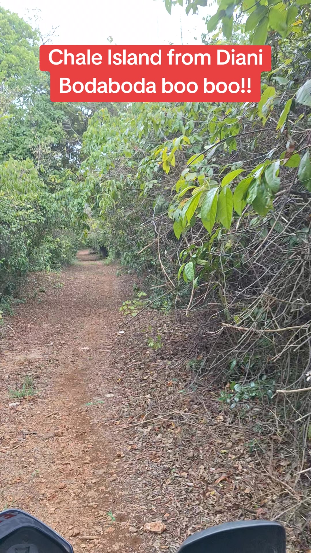 @Grace Yuge