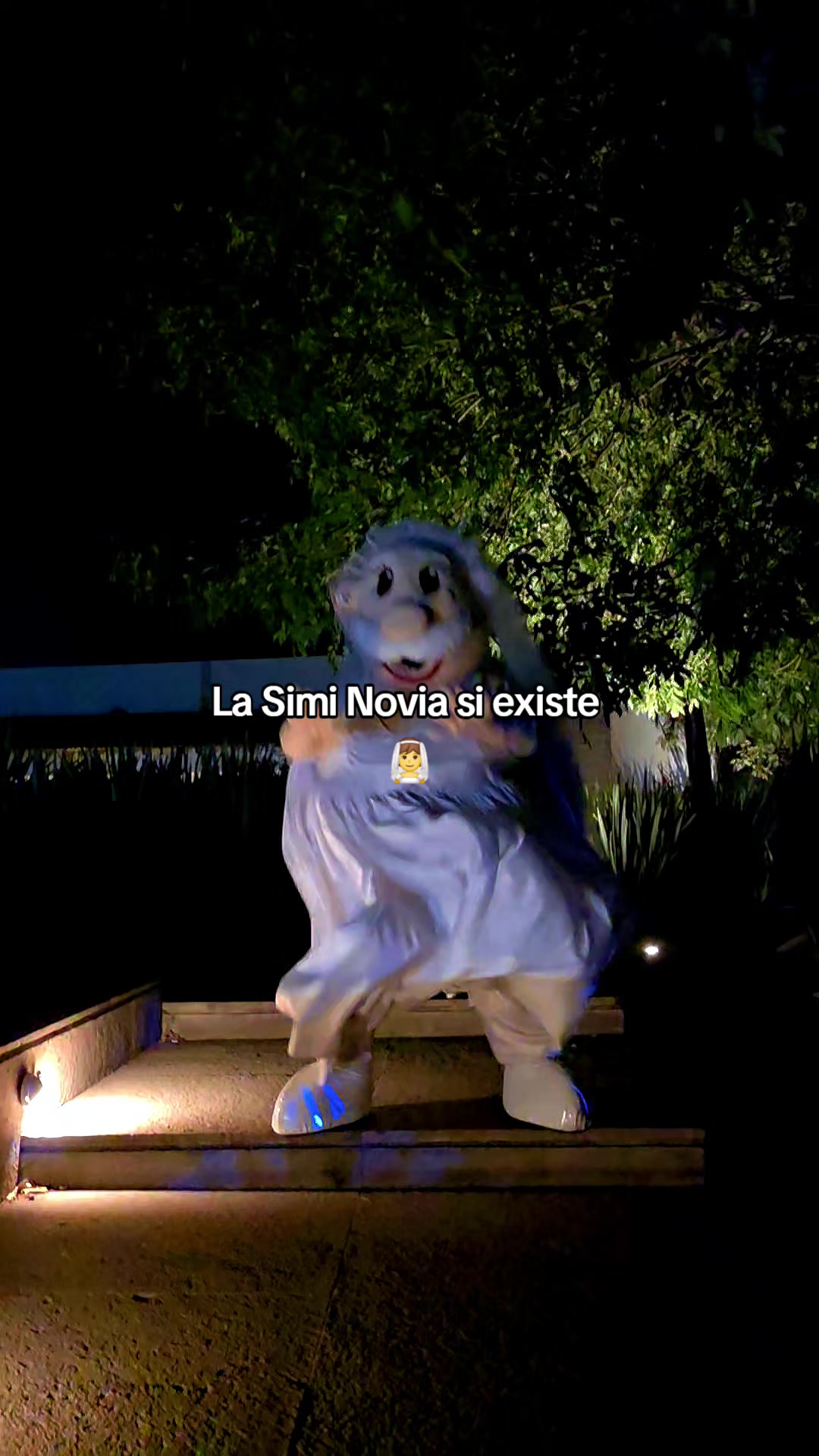 @Botargas_Puebla