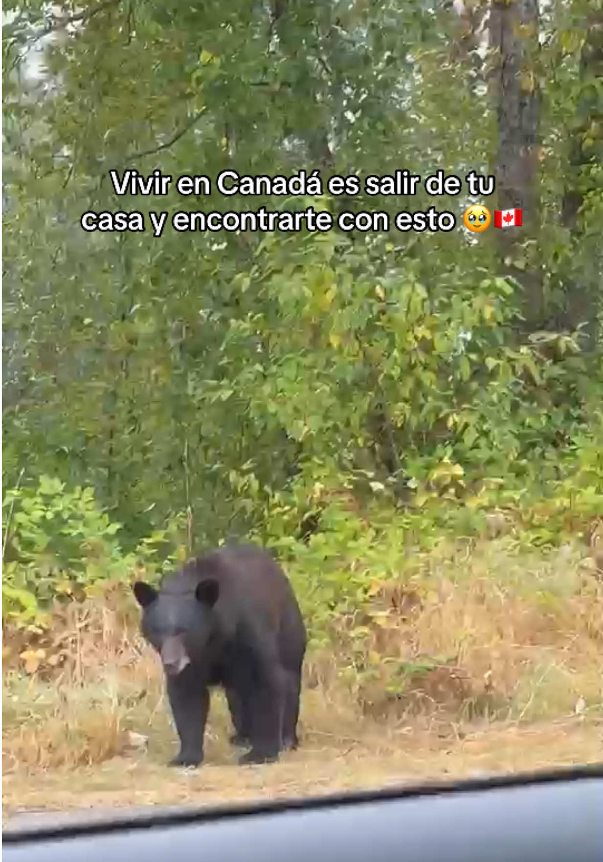 @Steph || Vivir en Canadá 🇨🇦