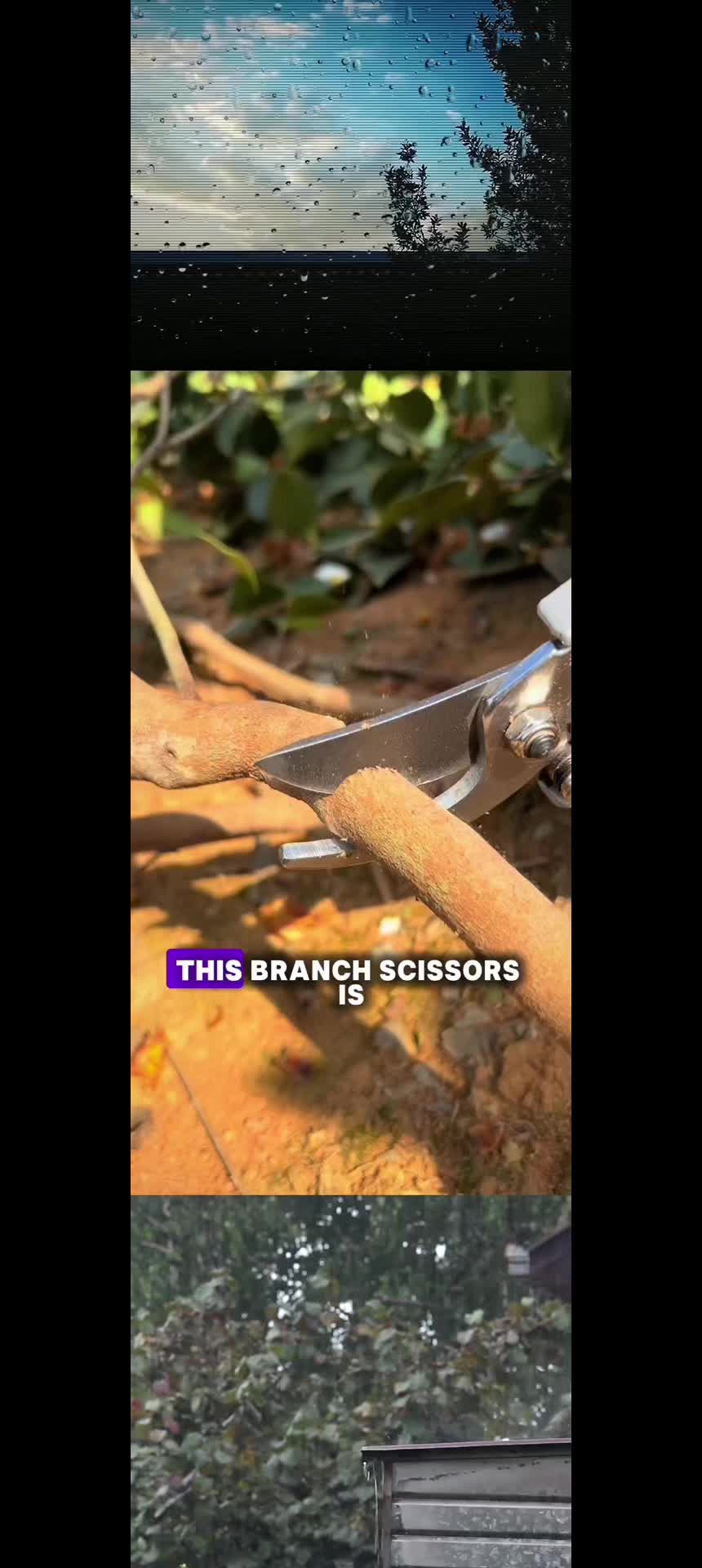 @treasuretrove262