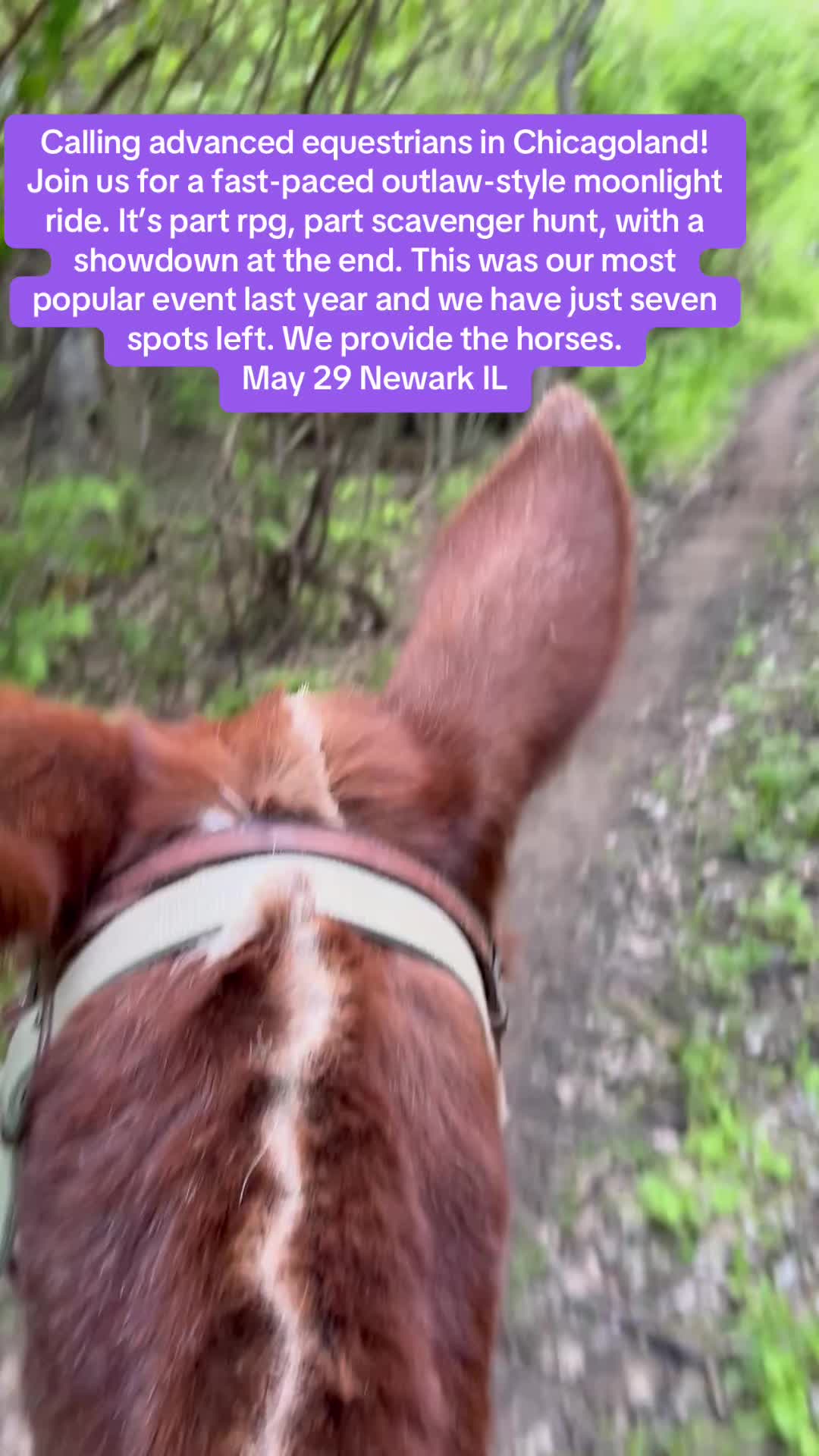 @SaddleSnaps