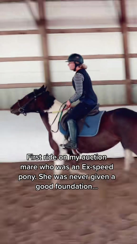 @Free Spirit Equestrian