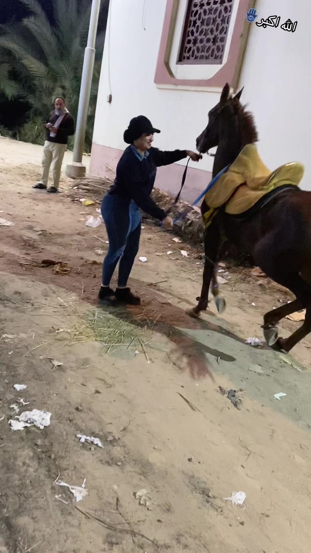 @الكابتن عبير🐎🥇🏆