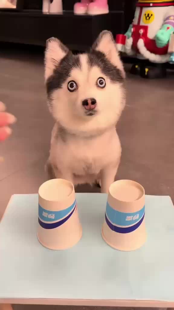 @Funny