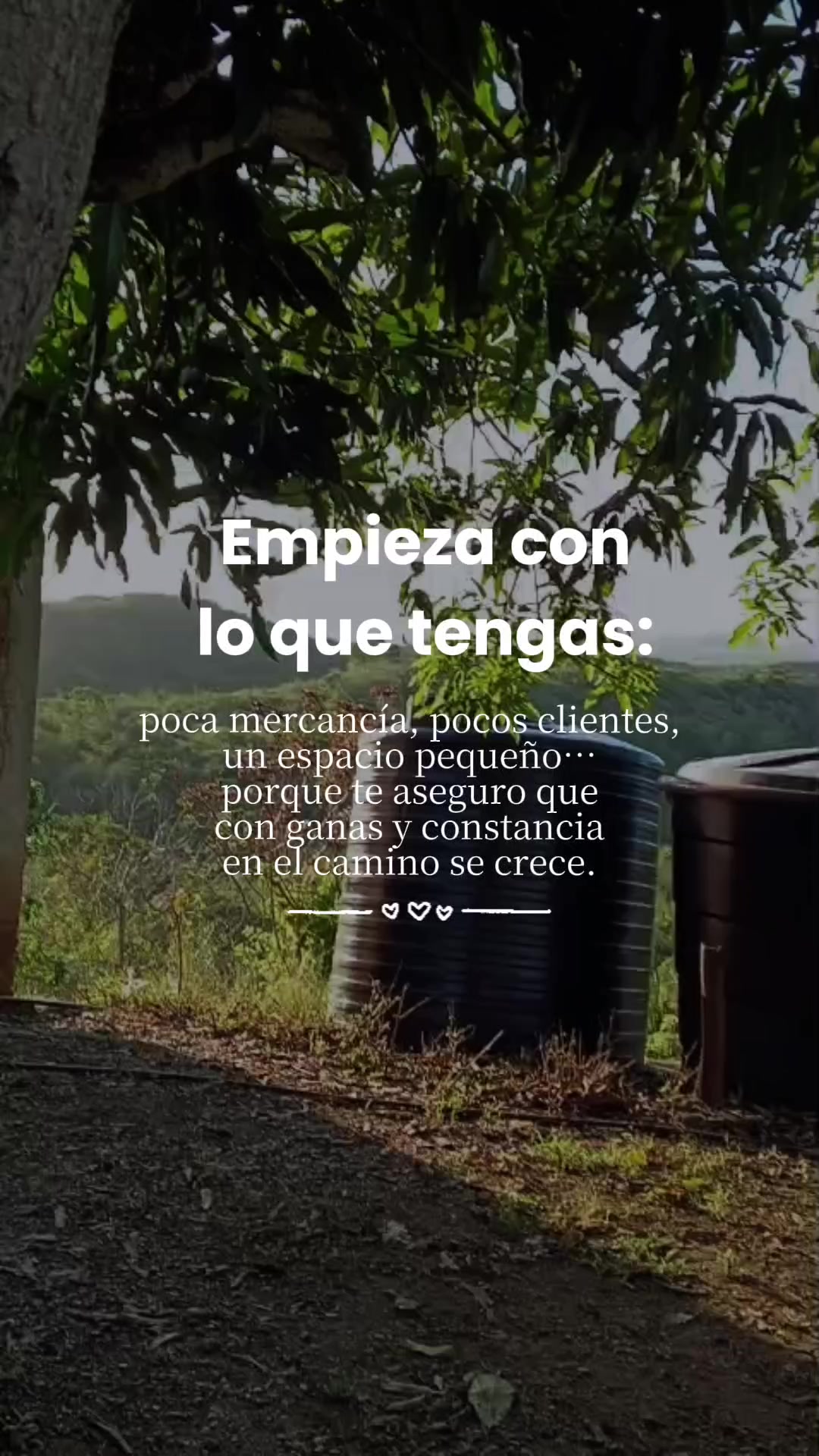 @Carlos Eduardo Guzman Delgado