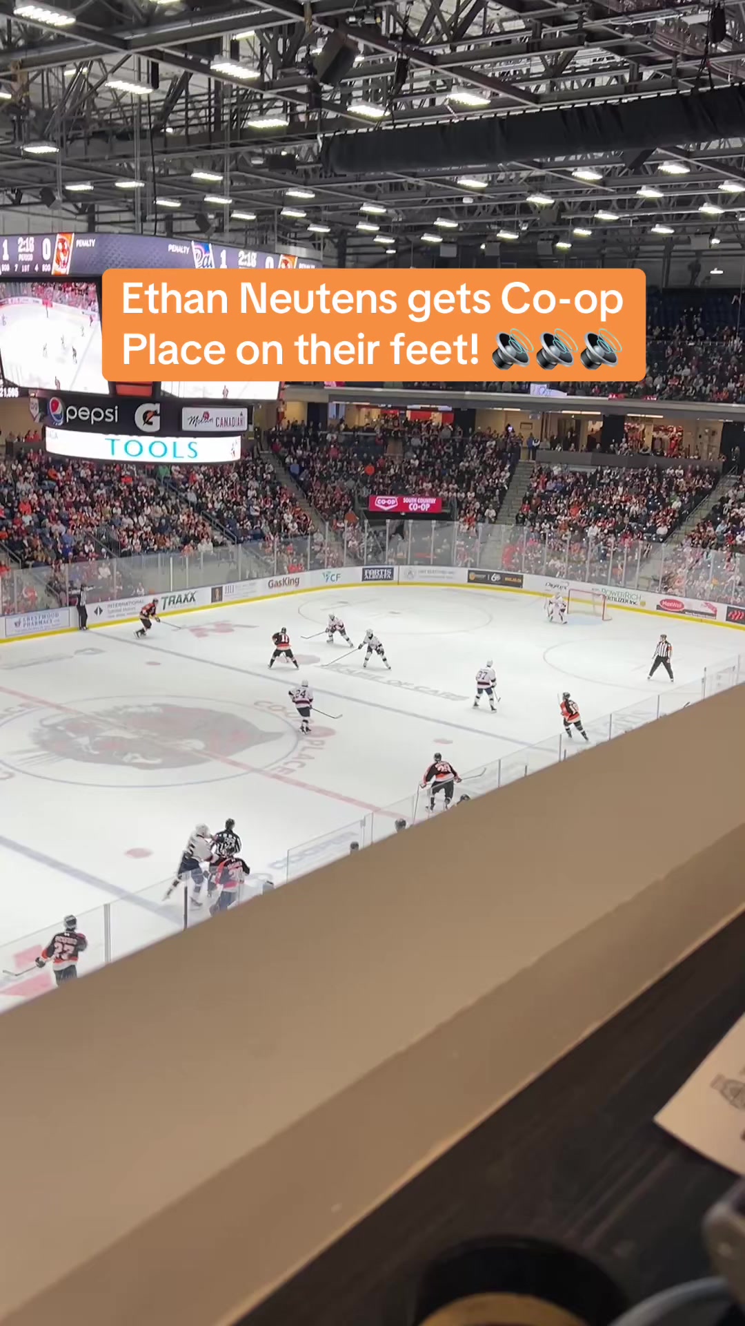 @Medicine Hat Tigers