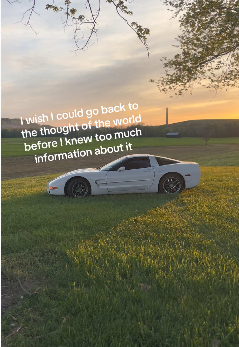 @c5🫠