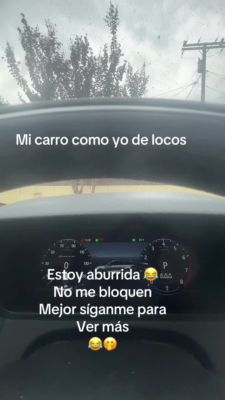 @Ani Garcia🥷 ⚾️💙
