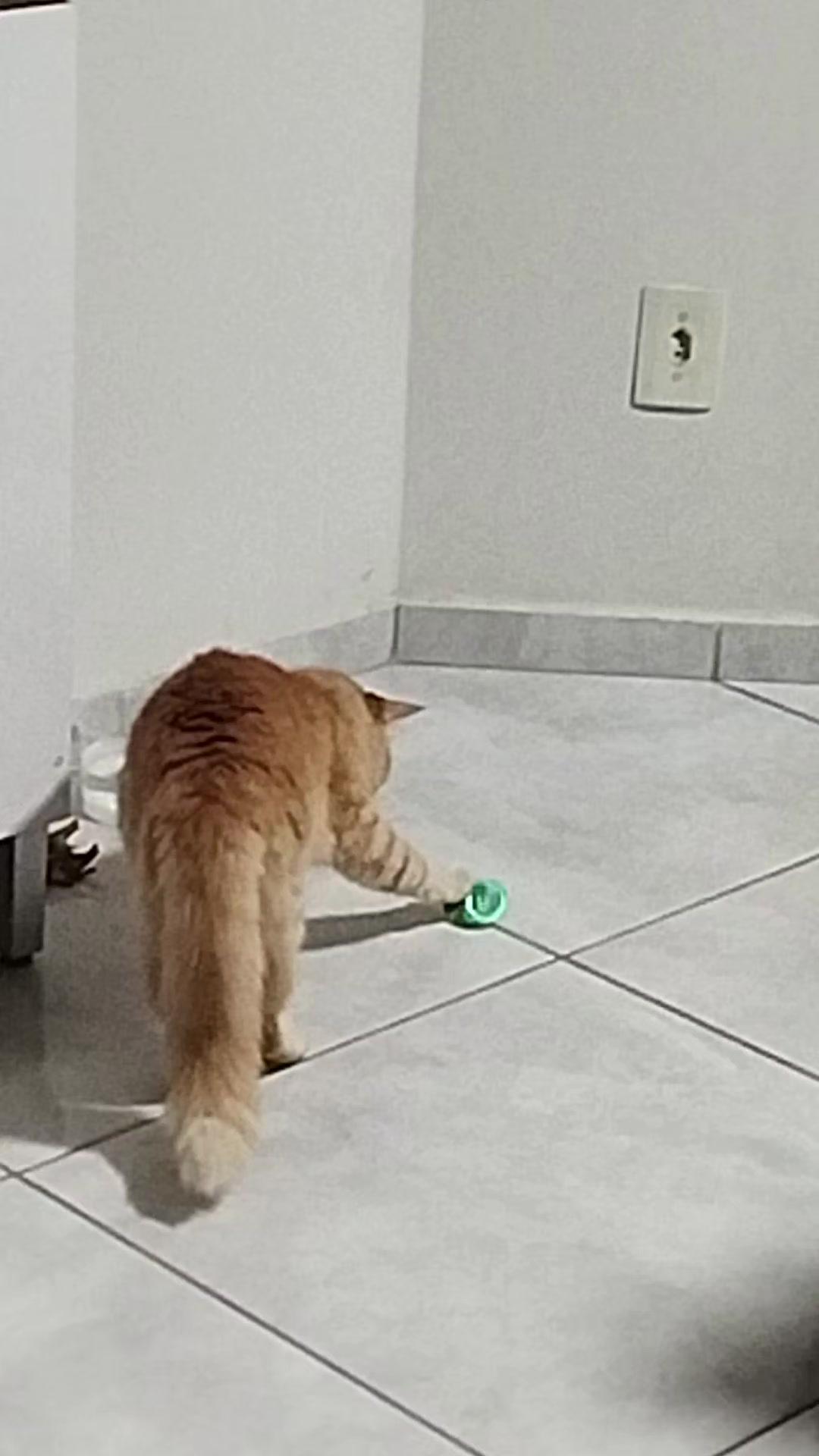 @Dalice Reis
