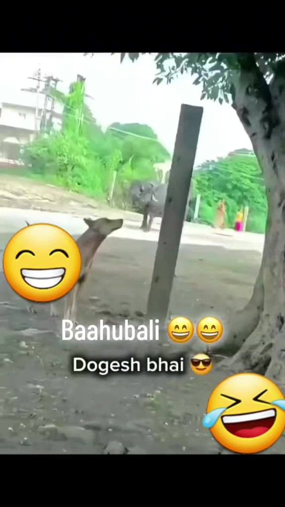 @đBunuđ€ đ©â€ïžđšđ€Bishalđ