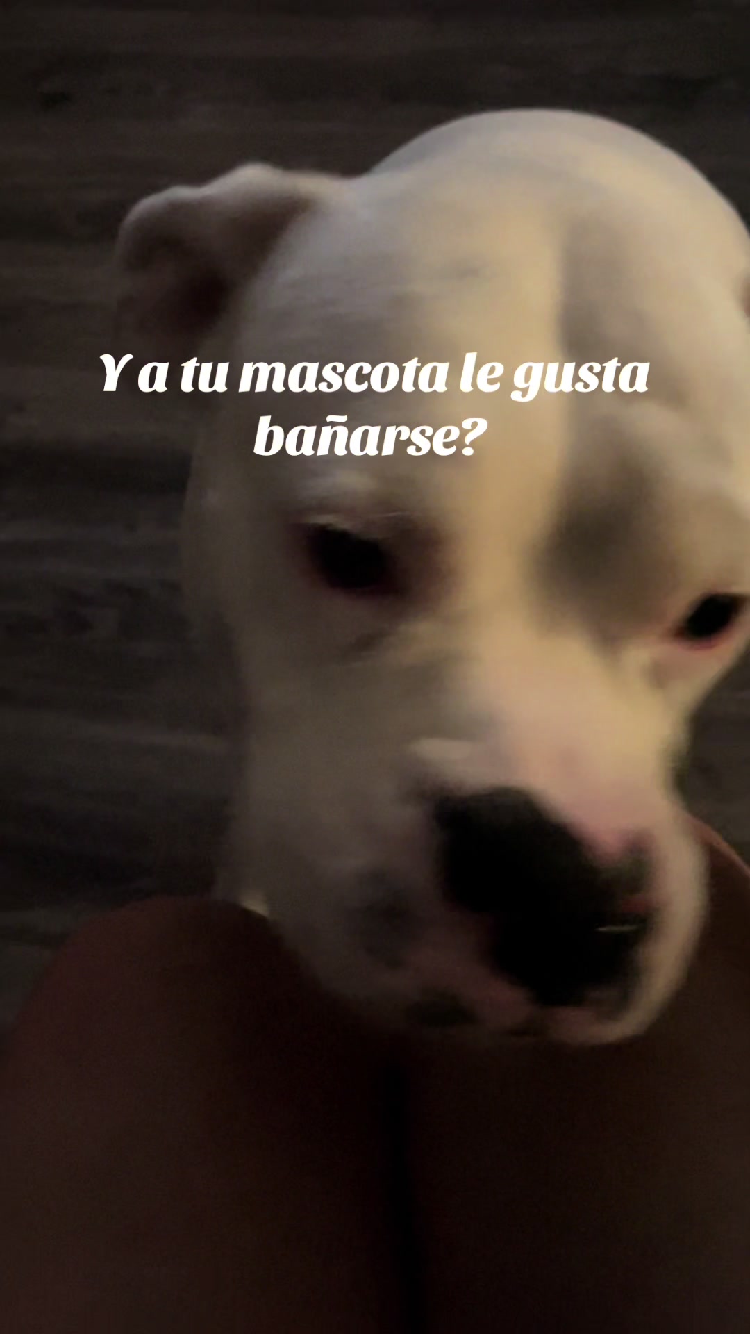 @Beatriz Ochoa