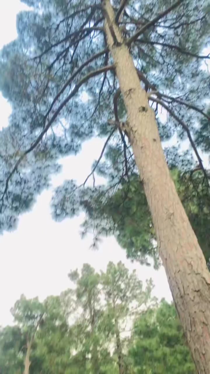 @🦋⁂༄꓄ẳไᏂẳ𝟥₀𝟚༄⁂🦋