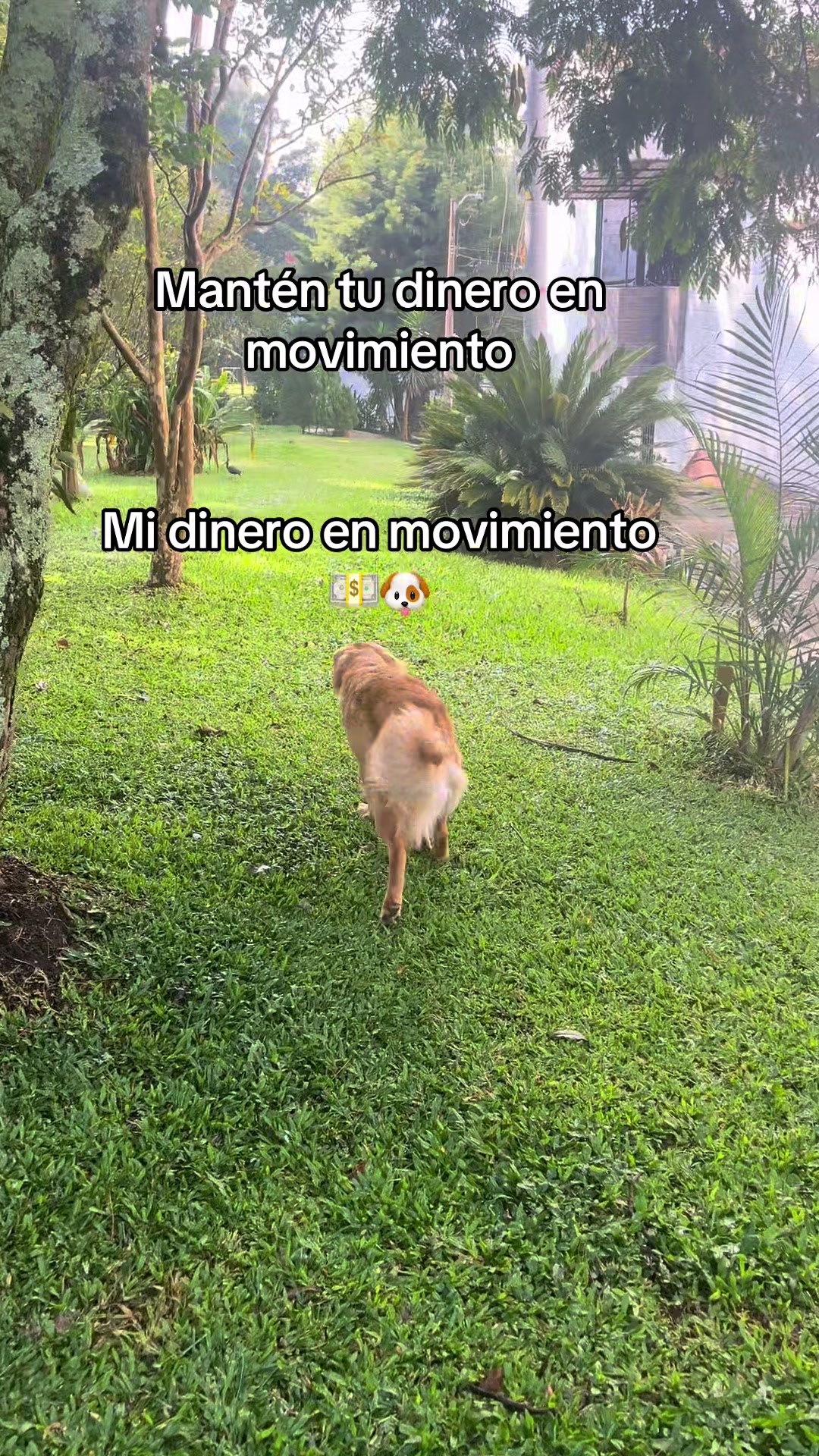 @Mila 🐶