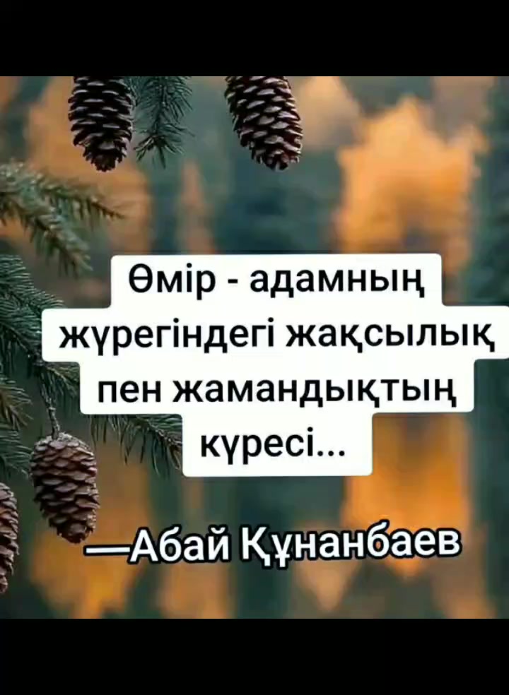 @Тойгул