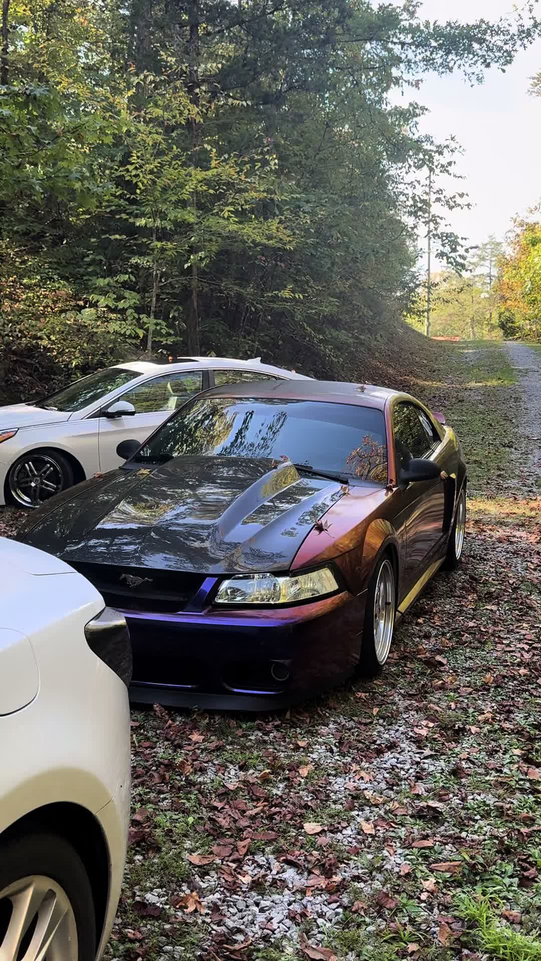 @Midnightpurp2v