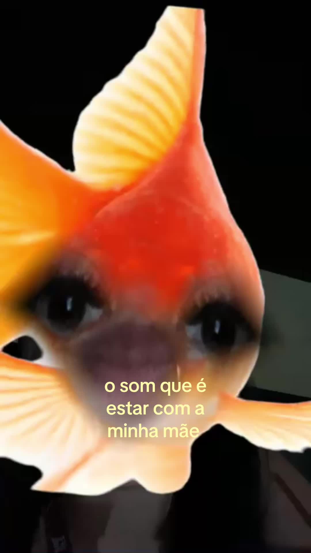 @๐๐ช๐ฝ๐๐๐