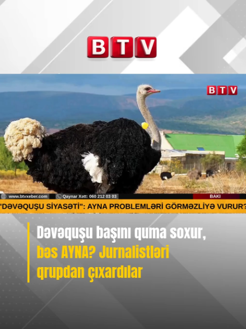 @BTV XƏBƏR