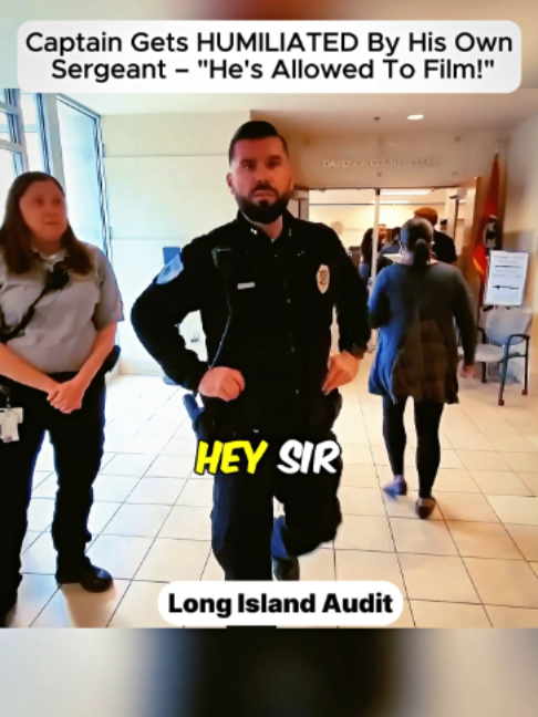 @Long Island Audit