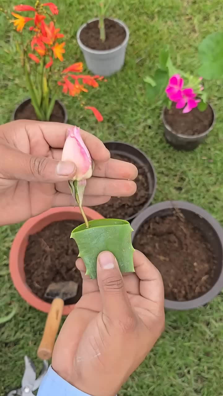 @user20505406424