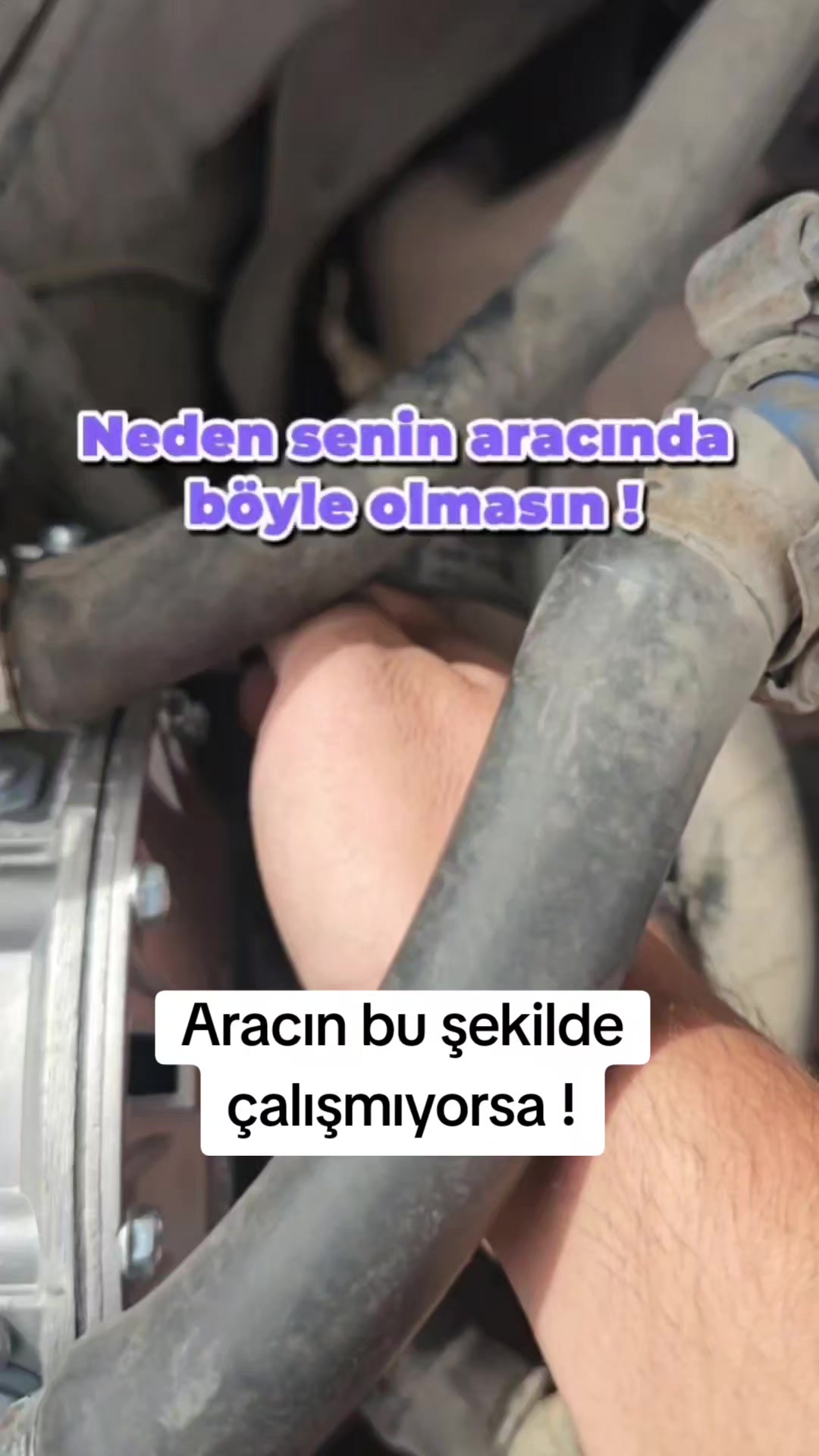 @FENOMEN GAZCI