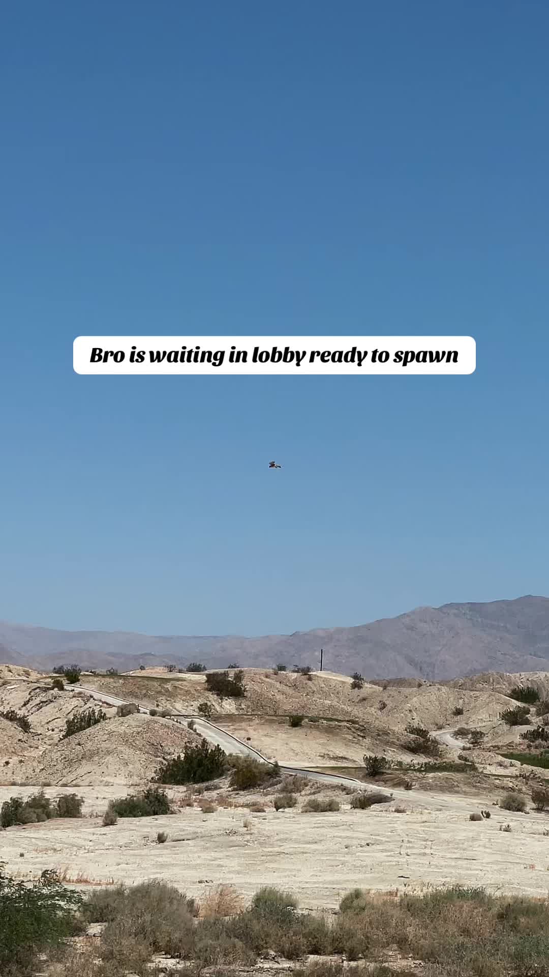 @jdubs3304