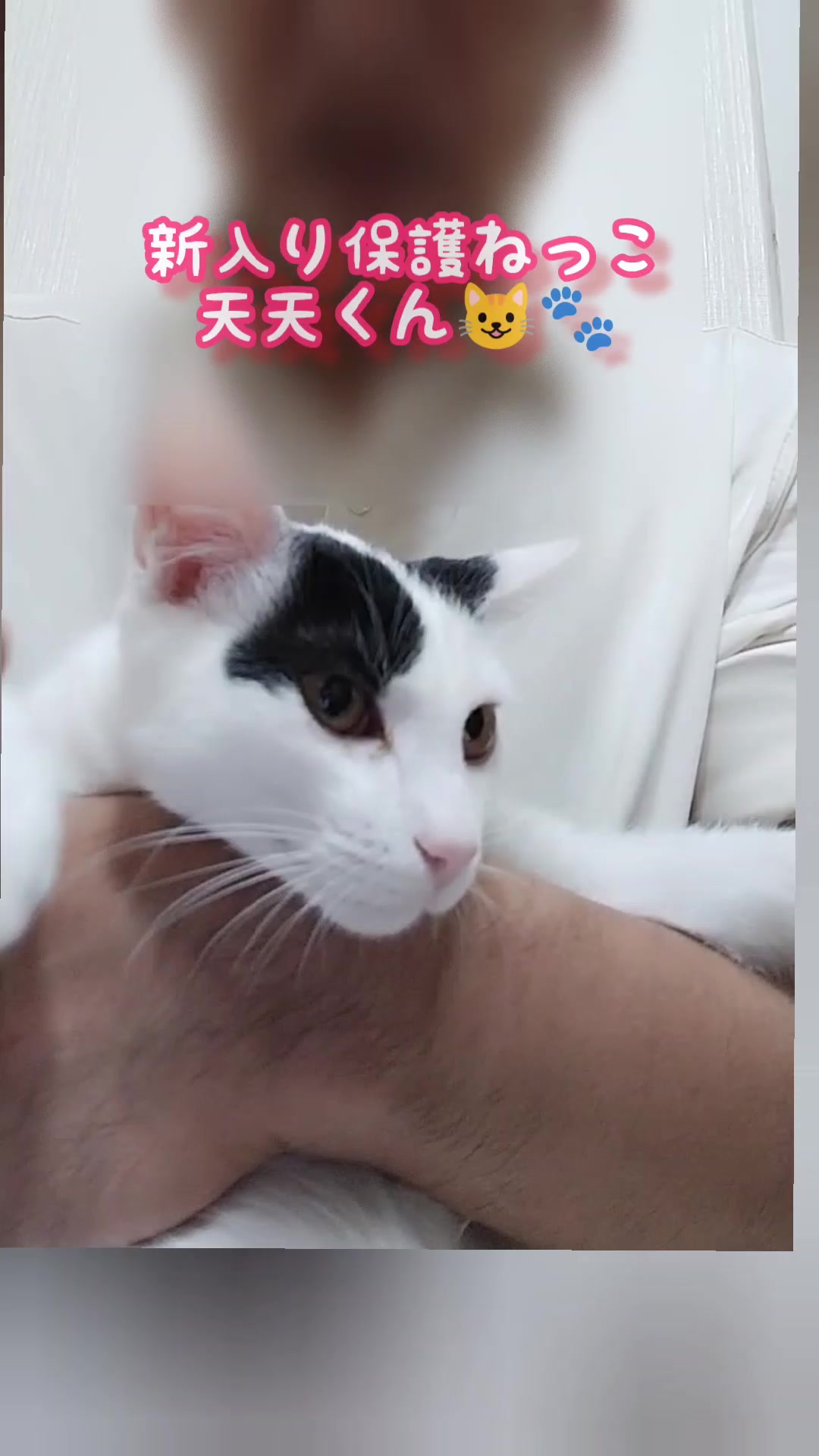 @あきの軍艦巻き😺 🐾 aki🐾