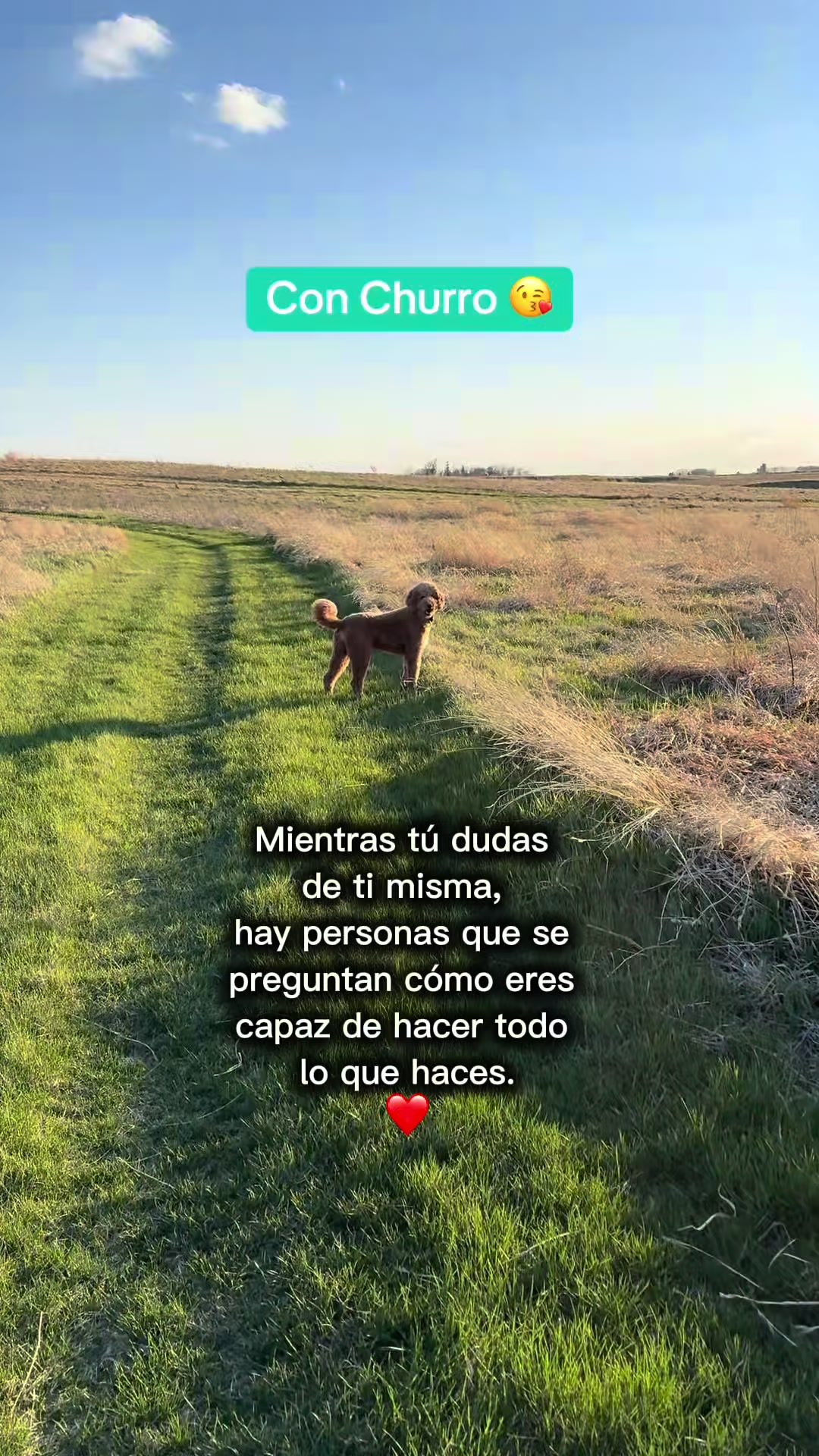 @Reyna y Churro 🐶😍