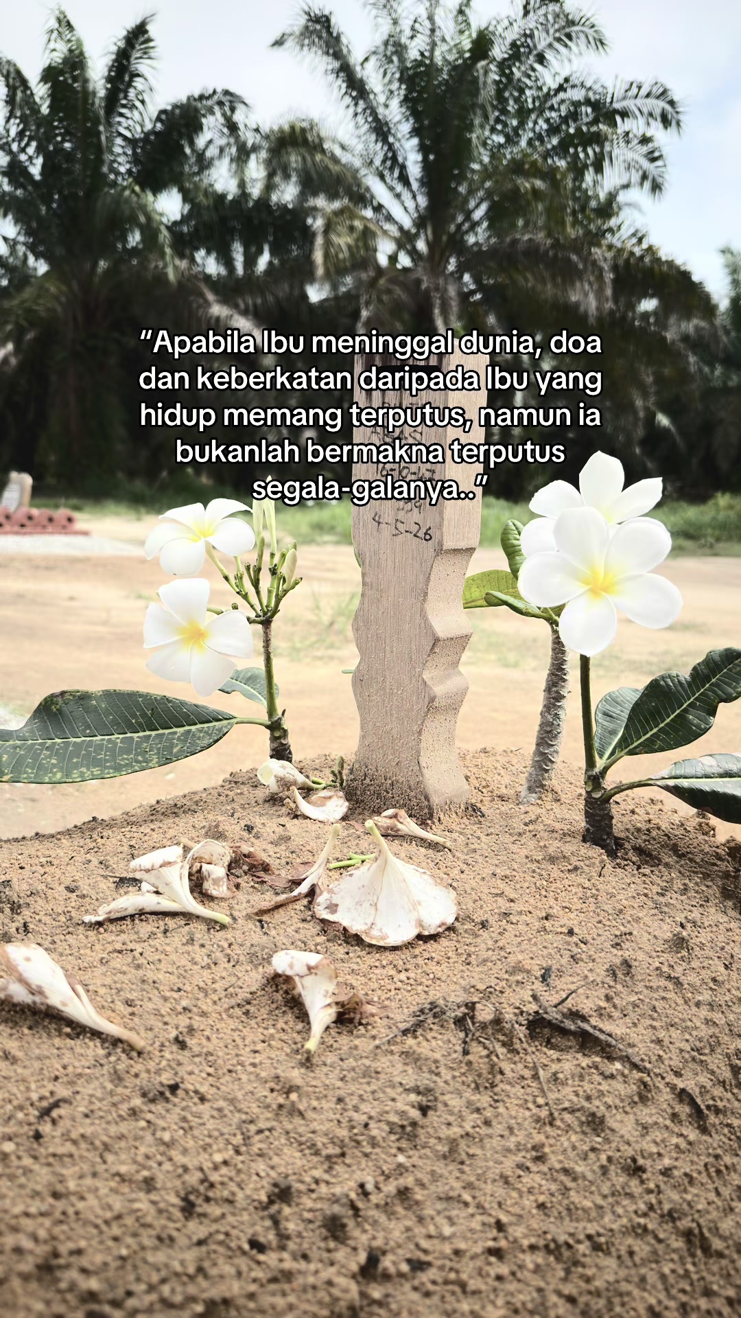 @Siti Suria