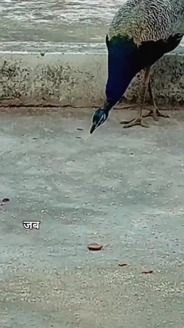 @Ramkushwaha108