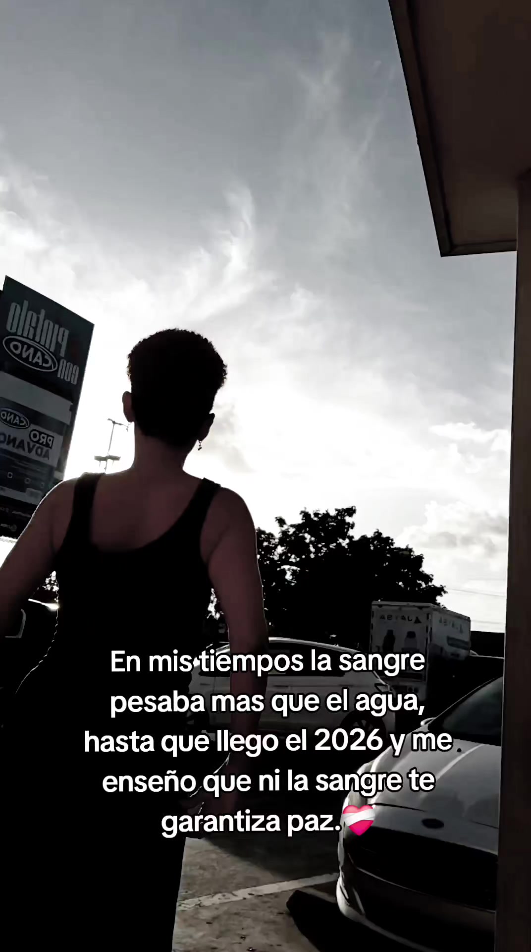@betsyoficial
