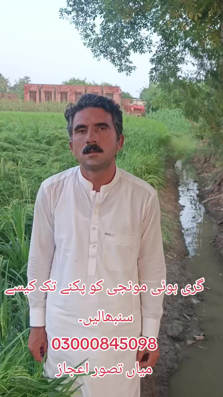@Pakistan Kisan T.V