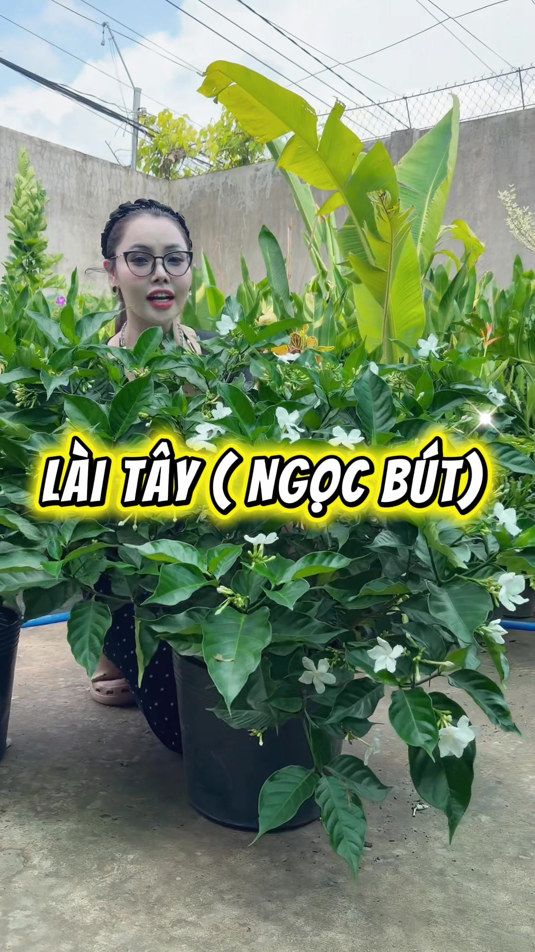 @Tiệm L&aacute; Nhỏ