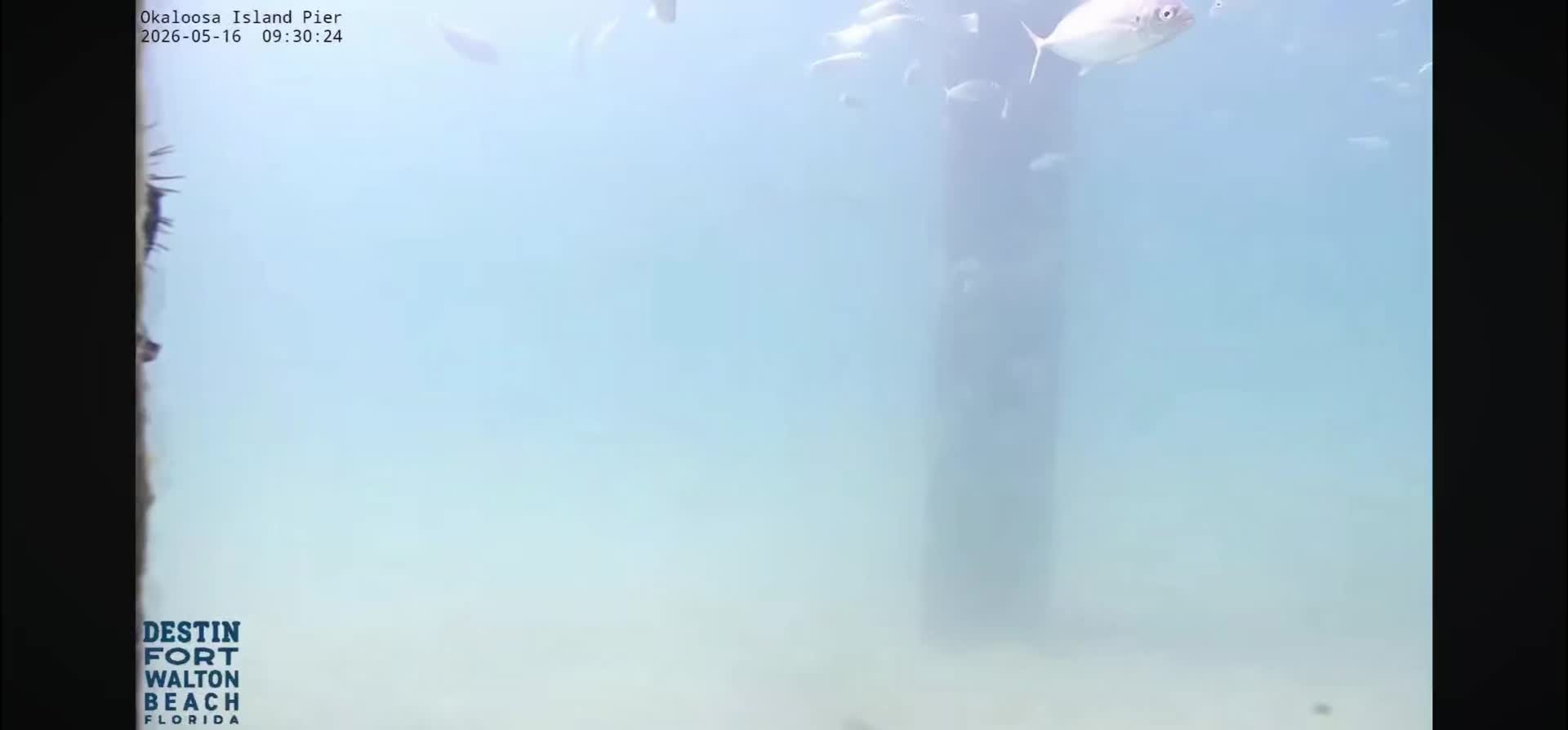 @OkaloosaIslandPier