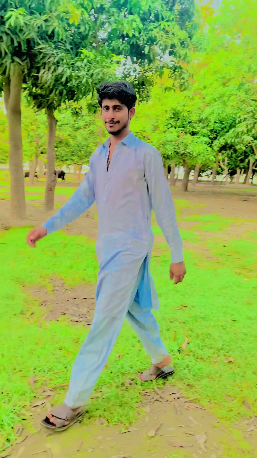 @Sheraz Chishti