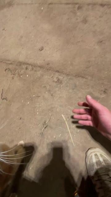 @41DanL
