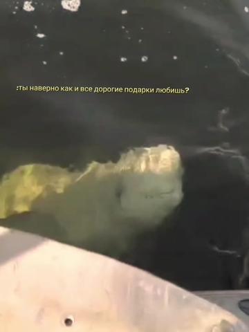@𝑳𝒖𝒏𝒊𝒏𝒌𝒂🫦