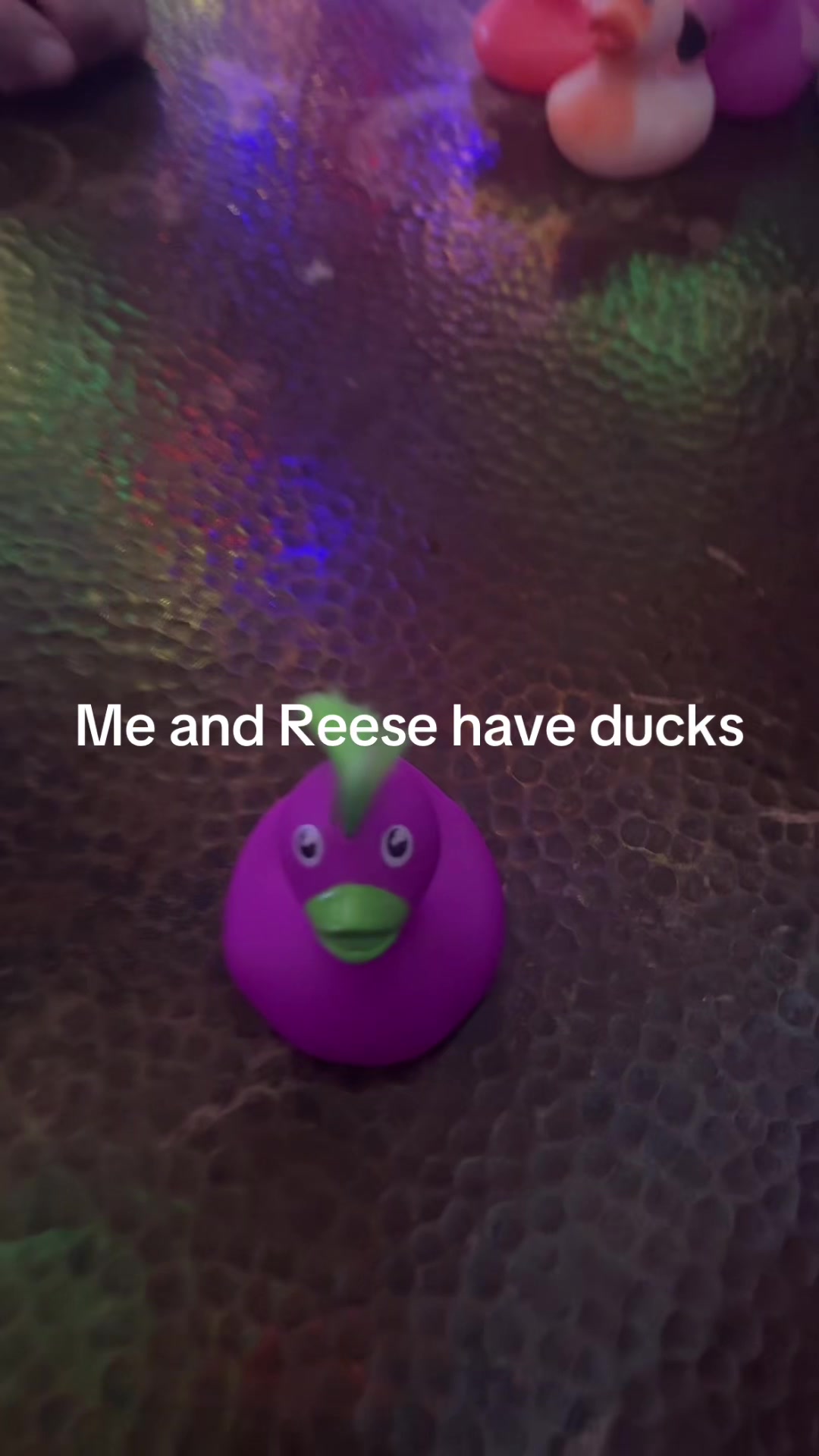 @whitneyagar2